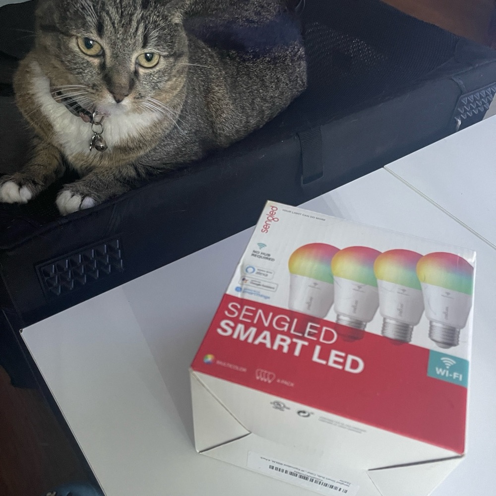 Sengled Smart Light Bulbs, WiFi Led Bulbs, Smart Edison Vintage Bulb